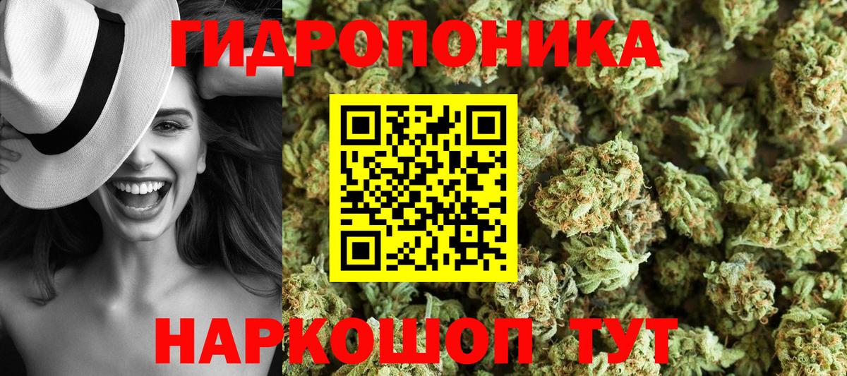 Конопля гибрид Нижний Тагил